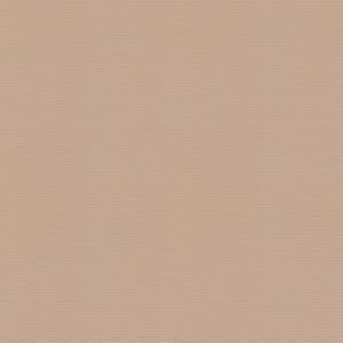 Vail Shell by Norbar Fabric VAIL 100% COTTON INDIA 55 - Fabric Carolina -