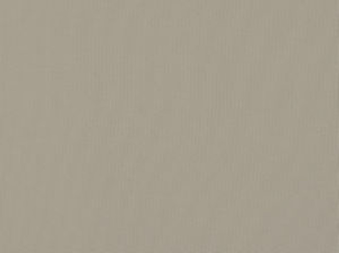 Zolic Taupe 63 by Norbar Fabric SUNTASTIC 100% POLYPROPYLENE TURKEY 54 - Fabric Carolina -