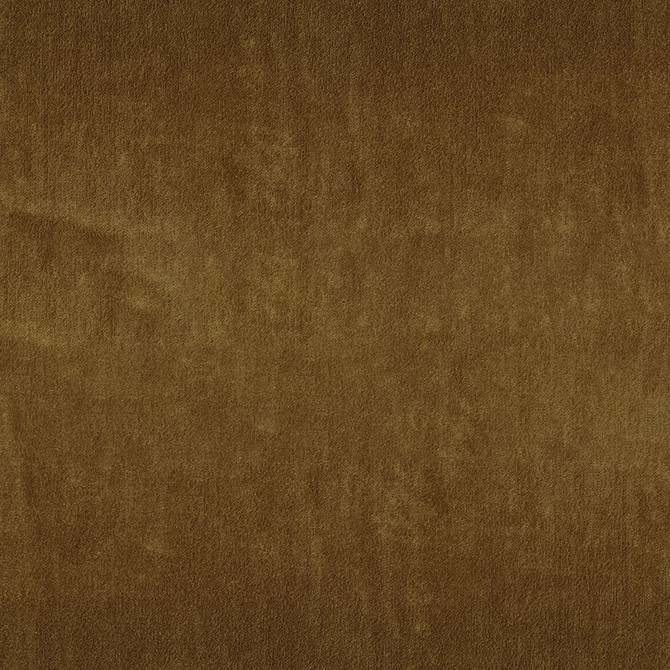 Alister 54 Camel by ABBEYSHEA Fabric CN </p><p>Repeat: Horizontal: and Vertical: - Fabric Carolina -