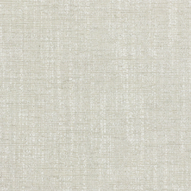 Alberto 5 Ash by Stout Fabric Stout Fabric Alberto 5 AshFabric TEXTURE APPEAL 58%COT 42%POL INDIA </p><p>Repeat: H: 0.000, V: 0.000 54 in - Fabric Carolina -