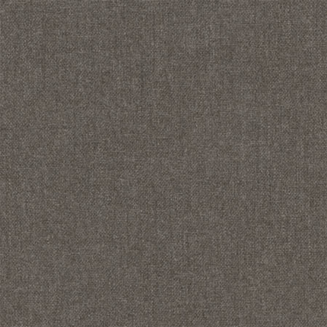 Aerial Slate by Carole Fabric Dove Wing 100% Polyester INDIA  None 54"  - Fabric Carolina -