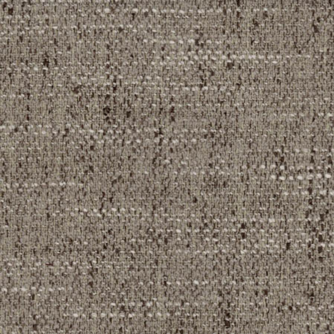Outlaw Pewter by Carole Fabric Dove Wing 72% Polyester, 15% Cotton, 13% Viscose INDIA 100,000 Wyzenbeek Double Rubs None 54"  - Fabric Carolina -