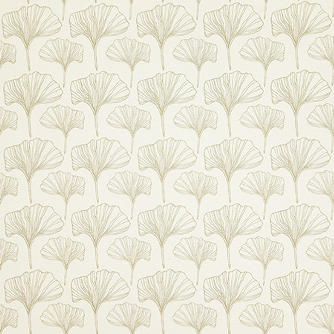Ginkgo Sketches Natural by Carole Fabric Earth & Stone 100% Cotton Spain  4 1/2" V, 4 1/2" H 54"  - Fabric Carolina -