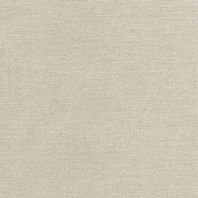 Total Dream Pewter by Carole Fabric First Class 100% Polyester-Softened TURKEY  None 54"  - Fabric Carolina -