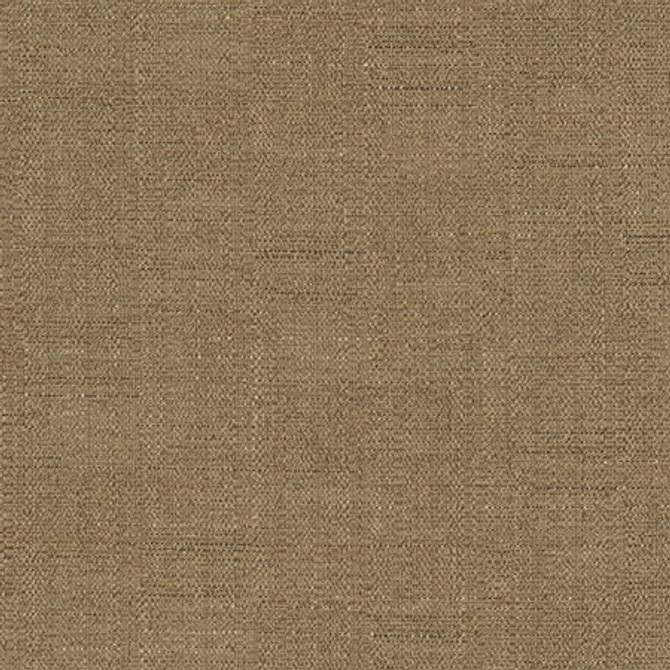 Cortland Coffee by Carole Fabric Gala 100% Polyester India  None 54.75"  - Fabric Carolina -
