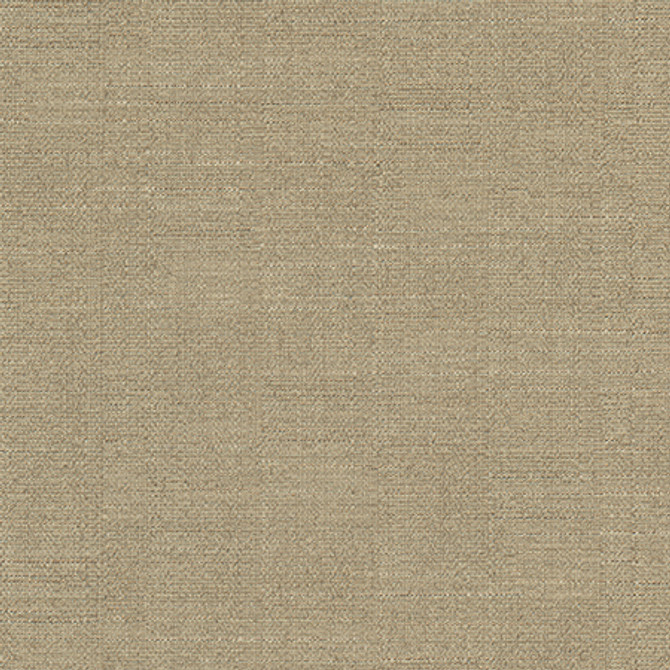 Cortland Fawn by Carole Fabric Gala 100% Polyester India 30,000 WYZENBEEK DOUBLE RUBS None 54.75"  - Fabric Carolina -