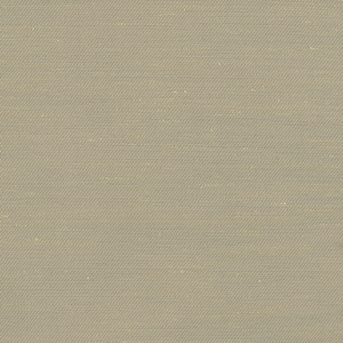 Rumi Almond by Carole Fabric Gala 100% Polyester India N/A None 54"  - Fabric Carolina -