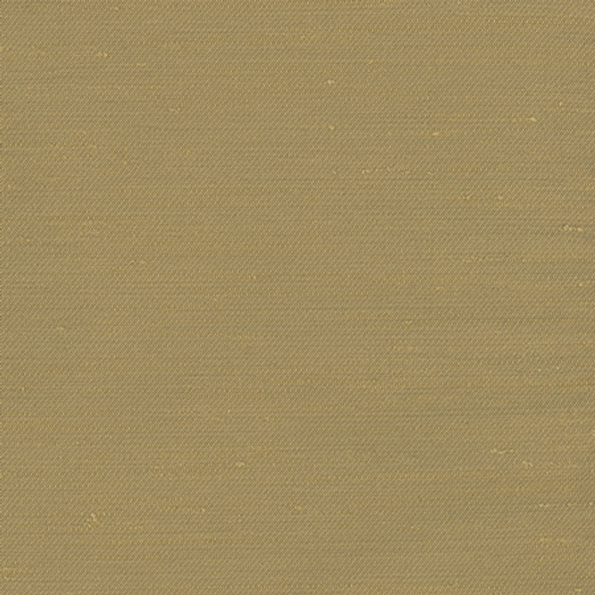 Rumi Amber by Carole Fabric Gala 100% Polyester India  None 54"  - Fabric Carolina -