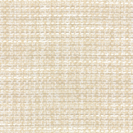 Endurance Linen by Carole Fabric Head Start 100% Polyester IFR Hybrid India 75,000 Wyzenbeek Double Rubs None 54"  - Fabric Carolina -