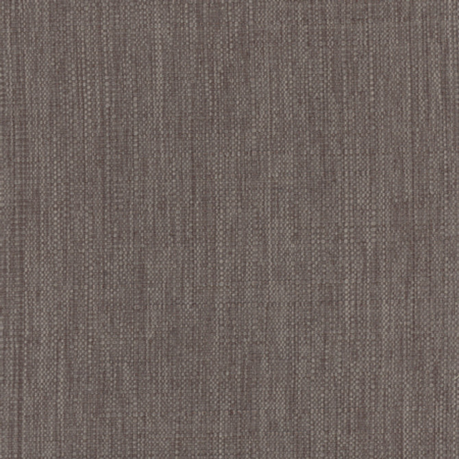 Intention Dusk by Carole Fabric Head Start 100% Polyester Taiwan 25,000 Wyzenbeek Double Rubs None 54"  - Fabric Carolina -