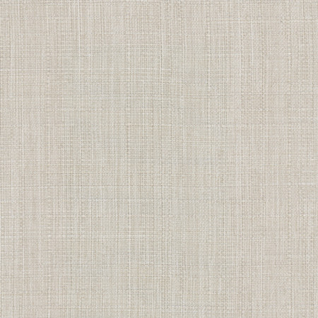 Intention Zinc by Carole Fabric Head Start 100% Polyester Taiwan  None 54"  - Fabric Carolina -