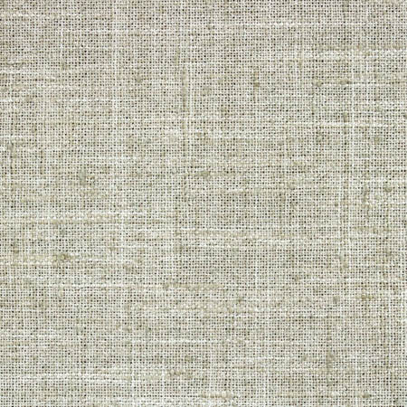 Consultant Rain by Carole Fabric Laguna 100% Polyester INDIA  None 54"  - Fabric Carolina -