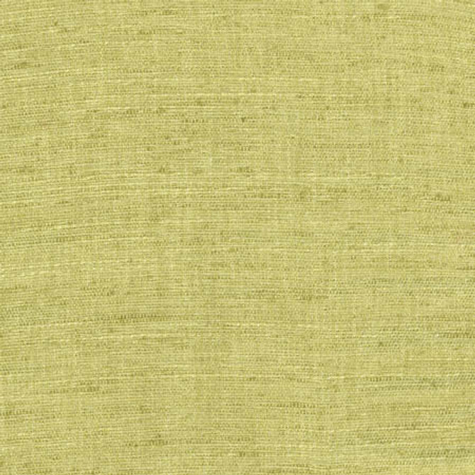 Training Day Lime by Carole Fabric Laguna 92% Polyester, 8% Cotton INDIA N/A None 54"  - Fabric Carolina -