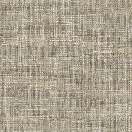 <p>Amare Mushroom by Carole Fabric</p><p><strong>Required Minimum Quantity Purchase: 2 yards</strong></p><p>Book: Let's Mingle,Desert Sands</p><p>Content: 53% Polyester, 38% Cotton, 9% Viscose</p><p>Origin: </p><p>Performance: 42,500 Wyzenbeek Double Rubs</p><p>Repeat: None</p><p>Width: 55"</p>