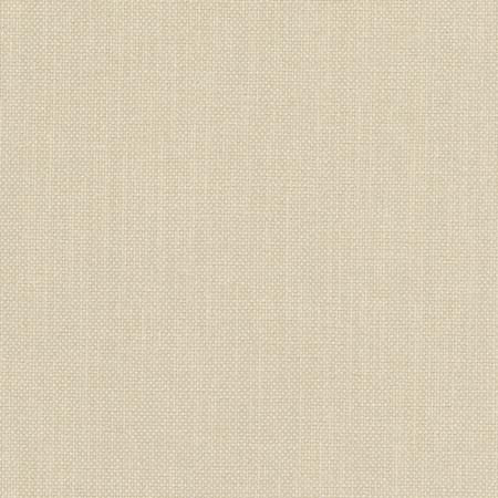 Liberty Dove by Carole Fabric Liberty II 100%  Polyester India 50,000 Wyzenbeek Double Rubs None 54"  - Fabric Carolina -