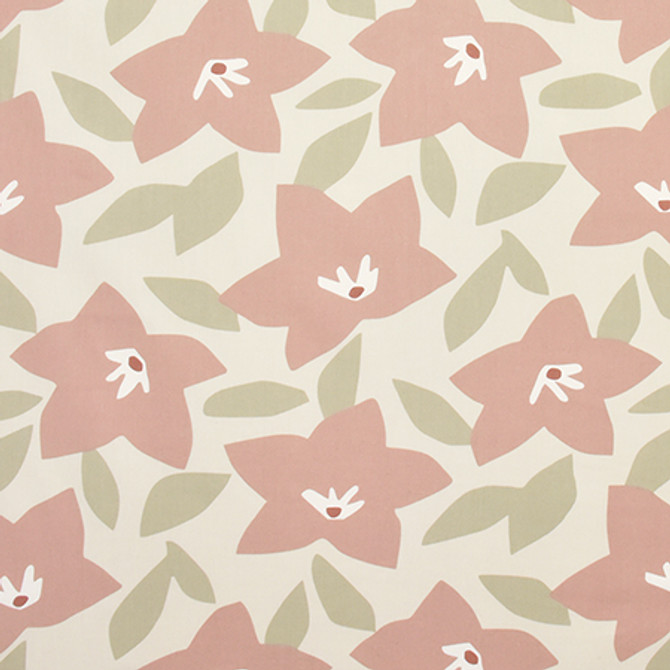 Goodness Knows Blossom by Carole Fabric Prisma 100% Cotton PAKISTAN 50,000 Wyzenbeek Double Rubs 25" V, 27" H HD 56.5"  - Fabric Carolina -