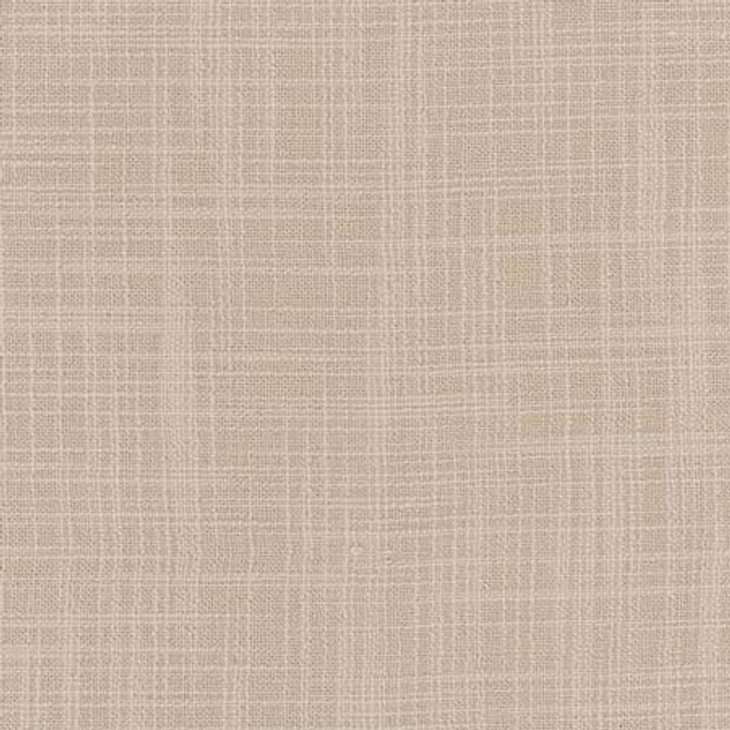 Lets Be Real Froth by Carole Fabric See It Through 100% Recycled Polyester India 50,000 Wyzenbeek Double Rubs None 54"  - Fabric Carolina -