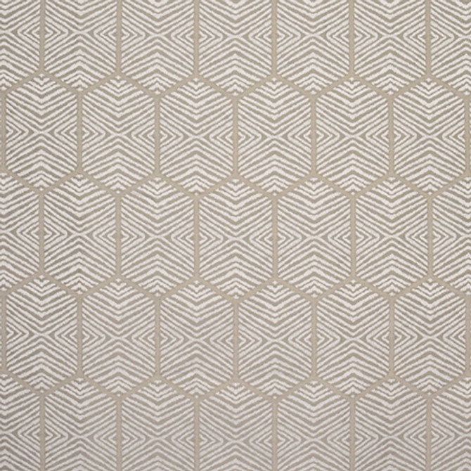 Break Free Champagne by Carole Fabric State Of The Art 73% Recycled Polyester, 27% Polyester INDIA  12 1/2" V, 4 1/2" H 55"  - Fabric Carolina -