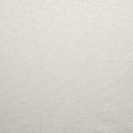 Gravel Path Pearl Grey by Carole Fabric State Of The Art 100% Polyester INDIA 30,000 Wyzenbeek Double Rubs None 54"  - Fabric Carolina -