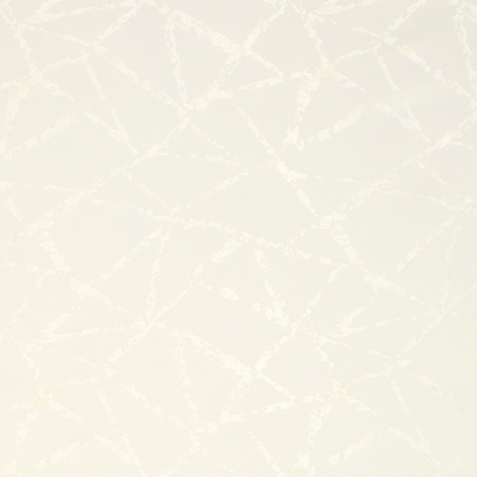 Into Focus Alabaster by Carole Fabric State Of The Art 100% Polyester CHINA 15,000 Wyzenbeek Double Rubs 16 3/8" V, 14 3/8" H 55"  - Fabric Carolina -
