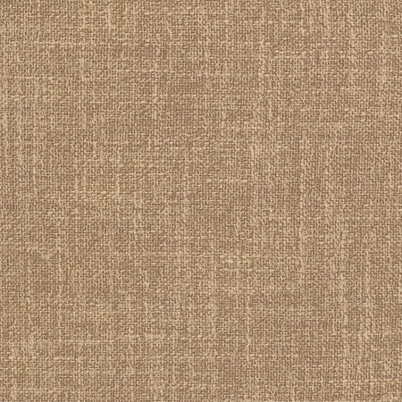Enthusiasm Toffee by Carole Fabric Sunbaked 100% Polyester INDIA N/A None 54"  - Fabric Carolina -