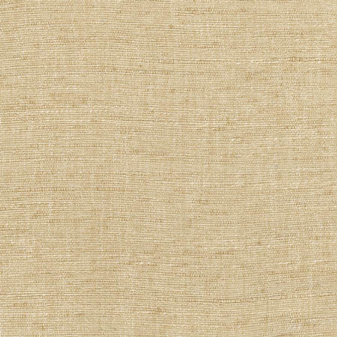 Training Day Sand by Carole Fabric Sunbaked 92% Polyester, 8% Cotton INDIA N/A None 54"  - Fabric Carolina -