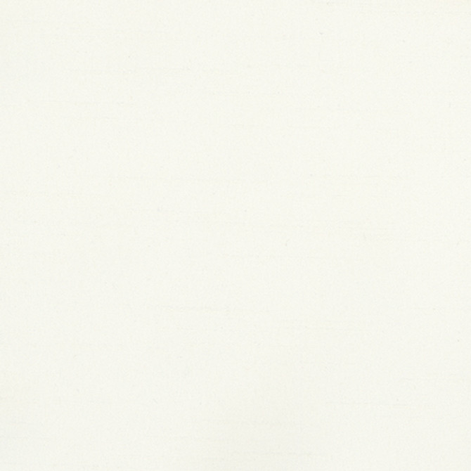 Bane Pearl by Carole Fabric With Grace 100% Polyester Hybrid FR Mexico 30,000 WYZENBEEK DOUBLE RUBS None 54"  - Fabric Carolina -