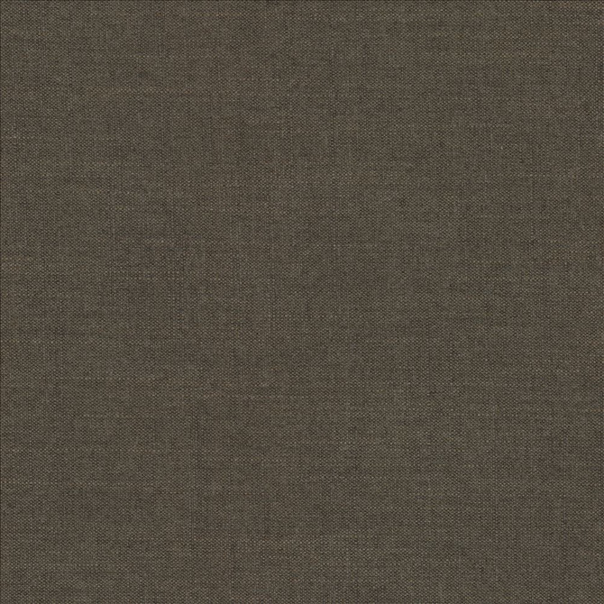 Mcdowell Java  by Kasmir Fabric 5184 100% Polyester  INDIA  </p><p>Repeat: Horizontal: N/A and Vertical: N/A 55  - Fabric Carolina -