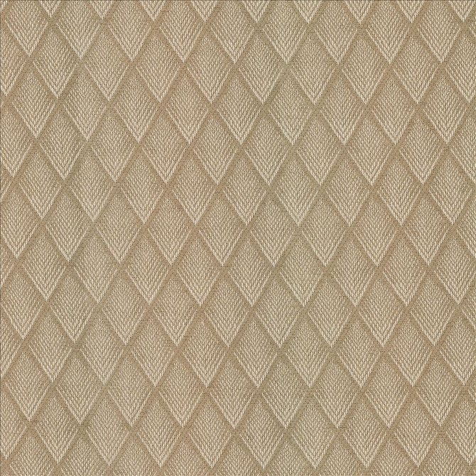 Winamac Flax  by Kasmir Fabric 5185 100% Polyester  TURKEY  </p><p>Repeat: Horizontal: 1 6/8 inches and Vertical: 2 6/8 inches 54  - Fabric Carolina -