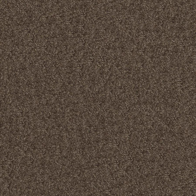 Calabria # 442 Beaver by Maxwell Fabric PERFORMANCE VELVETS-VOL.IV 51% ACRYLIC/44% POLYESTER/5% VISCOSE TURKEY 55.9" - Fabric Carolina -