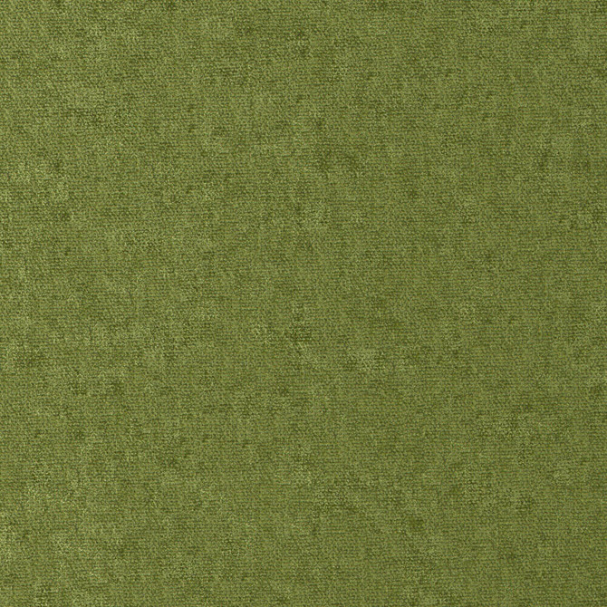 Conte 811 Grass by Maxwell Fabric CURLED UP VIII 100% POLYESTER INDIA   54"  - Fabric Carolina -