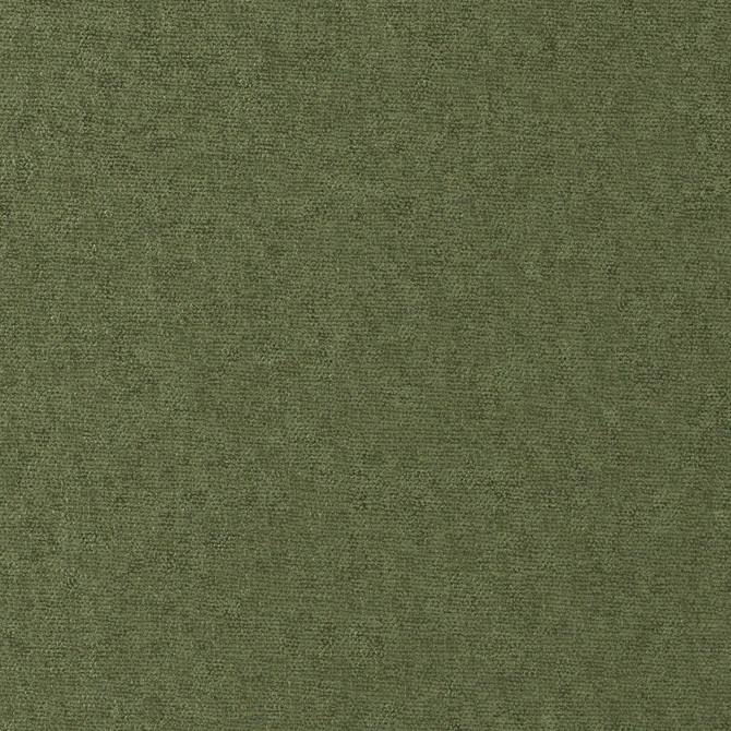 CONTE 815 PESTO by Maxwell Fabric CURLED UP VIII 100% POLYESTER INDIA   54"  - Fabric Carolina -