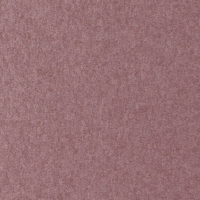 CONTE 884 ORCHID by Maxwell Fabric CURLED UP VIII 100% POLYESTER INDIA   54"  - Fabric Carolina -