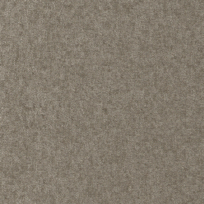Conte 907 Plaza by Maxwell Fabric CURLED UP VIII 100% POLYESTER INDIA   54"  - Fabric Carolina -