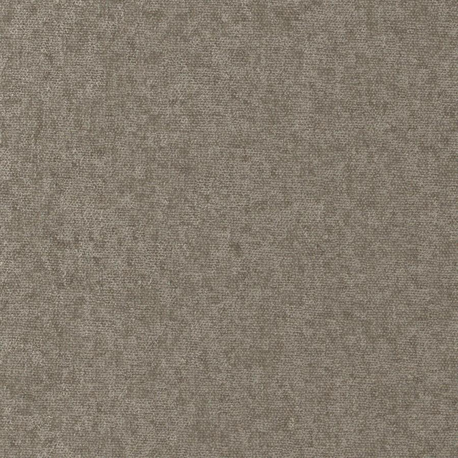 Conte # 907 Plaza by Maxwell Fabric Curled Up Viii 100% POLYESTER INDIA 54" - Fabric Carolina -