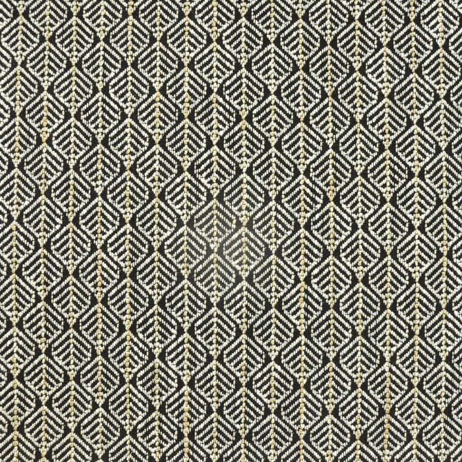 Elmtree # 817 Ebony by Maxwell Fabric Performance Wovens-Vol. Vi Pampas 79% UV POLYESTER 1% UV RECYCLED POLYESTER USA V-1.5" H-1.5" 55.8" - Fabric Carolina -