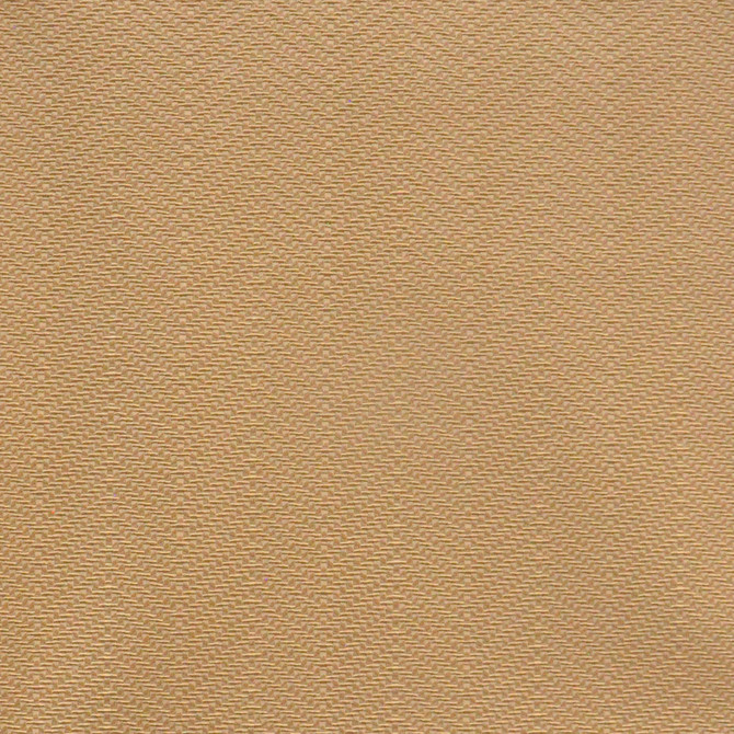 FAWKES 705 MACADAMIA by Maxwell Fabric EASY RIDER VIII FACE: 100% PVC KOREA  V-0.25" H-2.25" 54"  - Fabric Carolina -