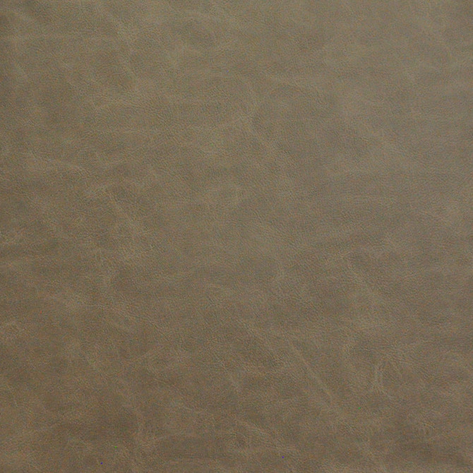 GRANGER 742 BRANCH by Maxwell Fabric EASY RIDER VIII FACE: 100% POLYURETHANE KOREA  V-11" H-8.25" 54"  - Fabric Carolina -
