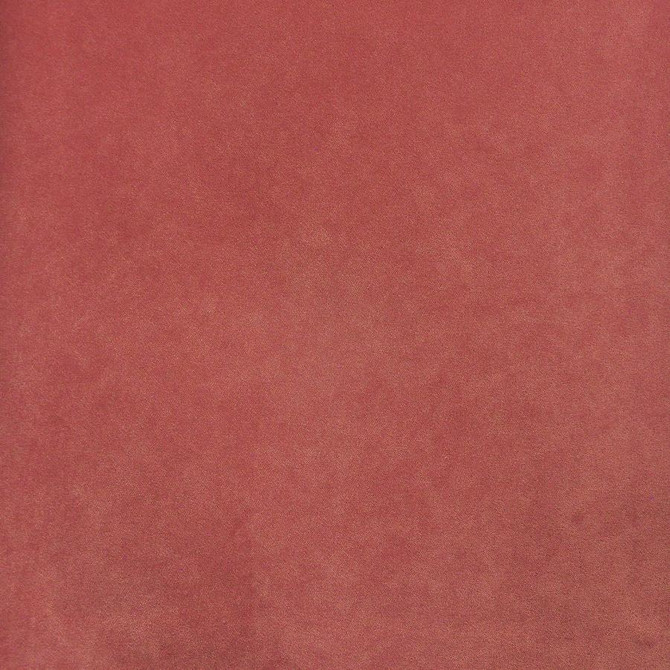 Palermo # 428 Sweet by Maxwell Fabric Home & Garden-Act Vii 76% RECYLCED POLYESTER/24% POLYESTER (PILE: 100% SOLUTION-DYED RECYCLED POLYESTER) TURKEY 55" - Fabric Carolina -