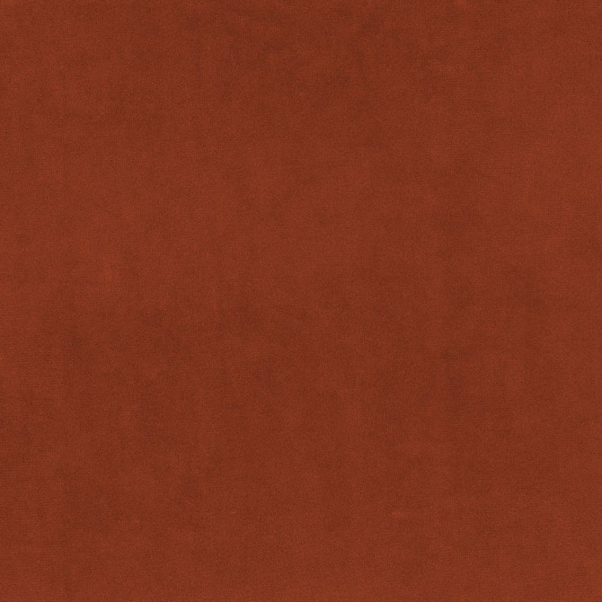 Marquee Fr Velvet Persimmon by RM CoCo Fabric Marquee FR Velvet 100% FR Polyester See Sample 0 Horizontal: 0 and Vertical: 0 59 - Fabric Carolina -