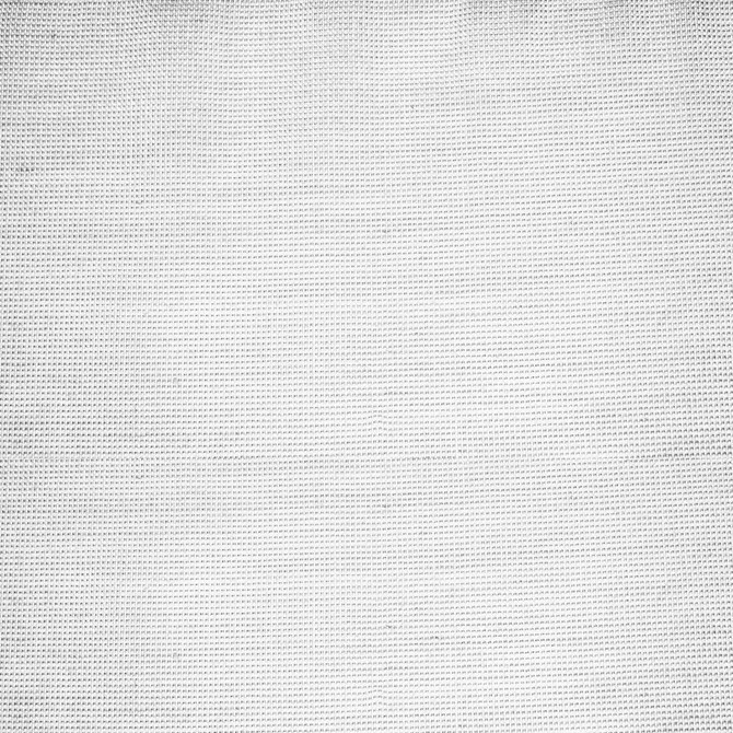 Moonbeam Wide-Width Sheer Winter White by RM CoCo Fabric