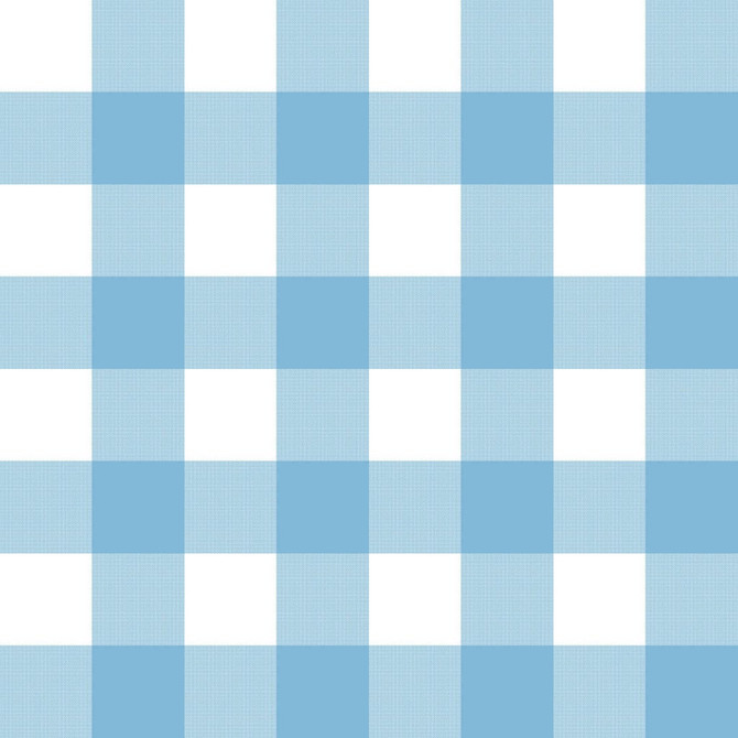Big Sky Check Cloud by RM CoCo Fabric