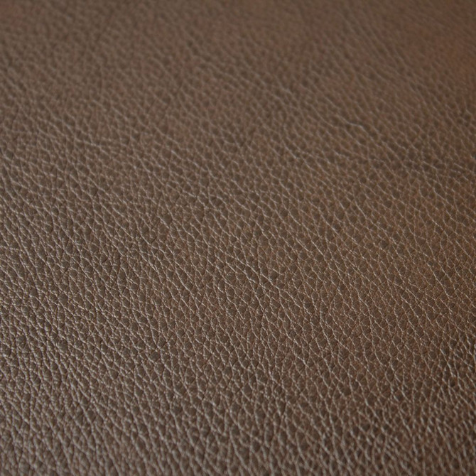 Fortitude Performance Vinyl Umber by RM CoCo Fabric Fortitude 100% PVC Backing 100% Polyester See Sample 1500000 Horizontal: 0 and Vertical: 0 54 - Fabric Carolina -