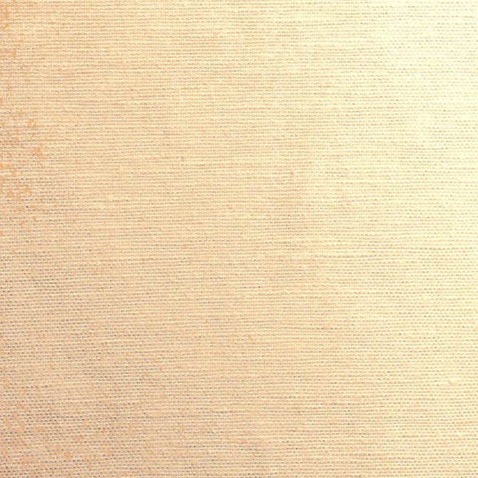 Hatteras Sandstone by RM CoCo Fabric