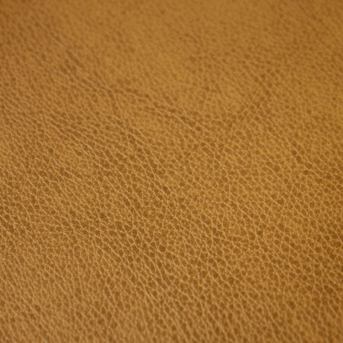 Fortitude Performance Vinyl Driftwood by RM CoCo Fabric
