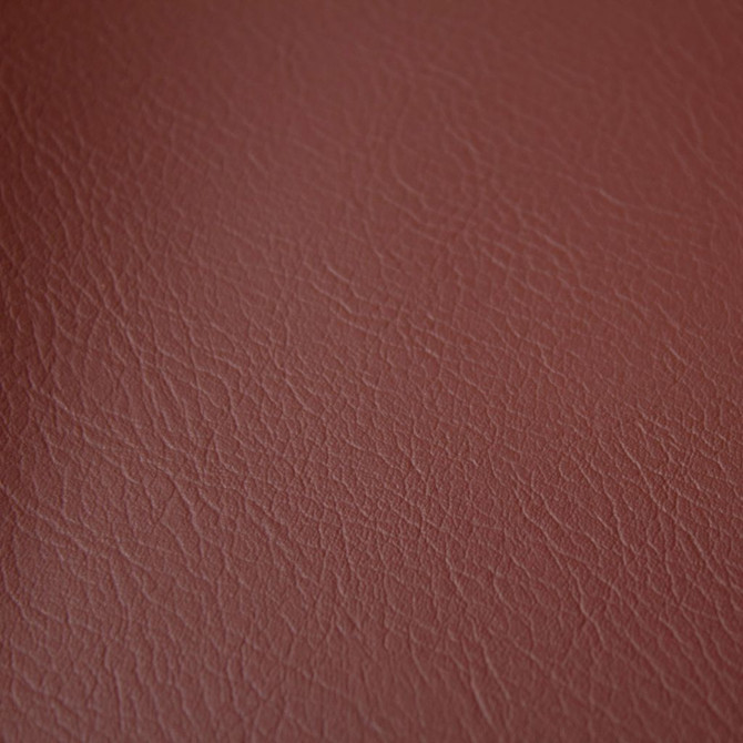 Fortitude Performance Vinyl Cordovan by RM CoCo Fabric