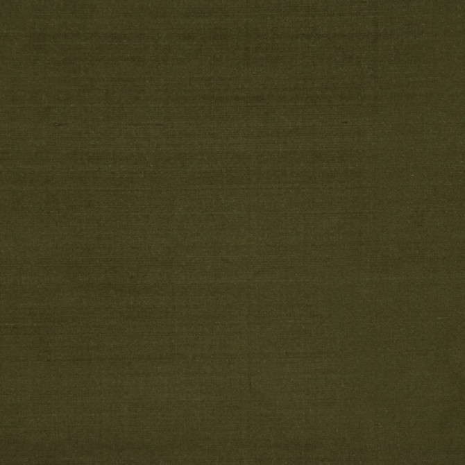 Perception Greem by RM CoCo Fabric Perception 100% Silk See Sample 0 Horizontal: 0 and Vertical: 0 54 - Fabric Carolina -