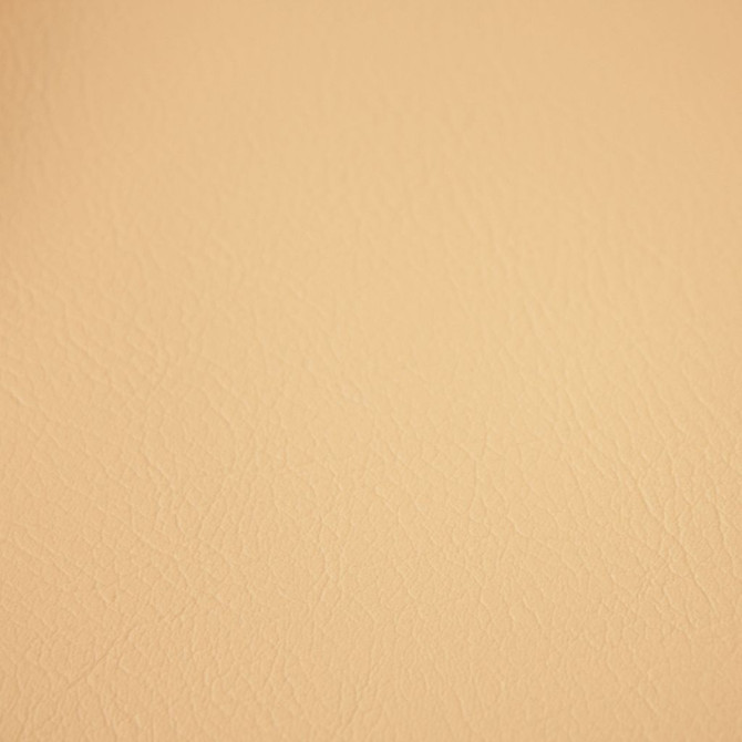 Fortitude Performance Vinyl Alabaster by RM CoCo Fabric Fortitude 100% PVC Backing 100% Polyester See Sample 1500000 Horizontal: 00 54  - Fabric Carolina -