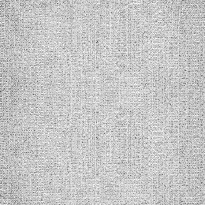 Ethereal Wide-Width Casement Silver Threads by RM CoCo Fabric Room With A View 54% Polyester 33% Cotton 13% Acrylic See Sample 0 Horizontal: 0 and Vertical: 2 120 - Fabric Carolina -