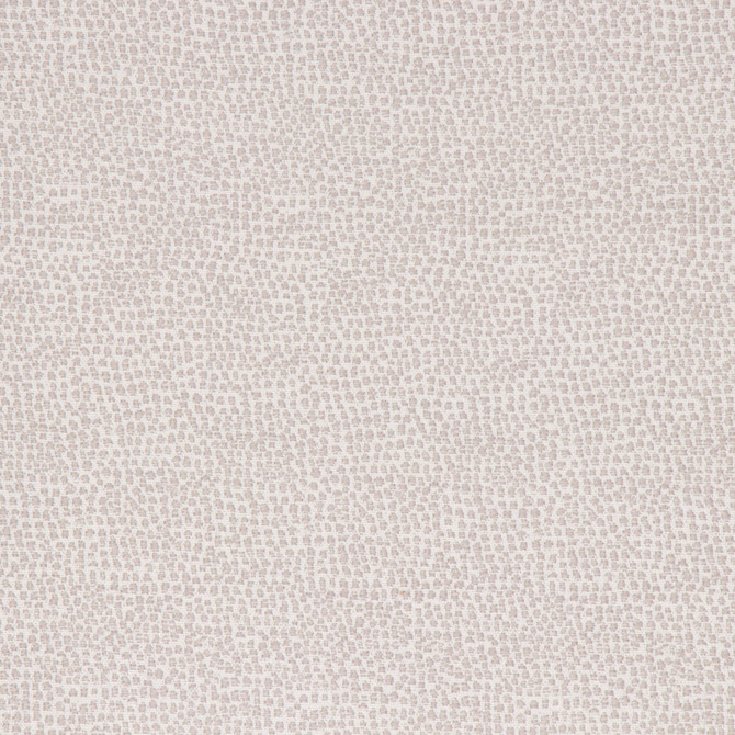 Astoria Dove by Bella-Dura Fabric  100% BELLA DURA POLYOLEFIN USA 70000 H: N/A V: N/A 53.5''  - Fabric Carolina -